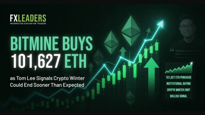 Bitmine купил 101,627 ETH, а Tom Lee прогнозирует скорый конец криптозимы