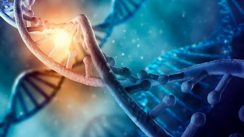 Ethtry пополнил казну Ethereum до 816.67 ETH после покупки на £100,000