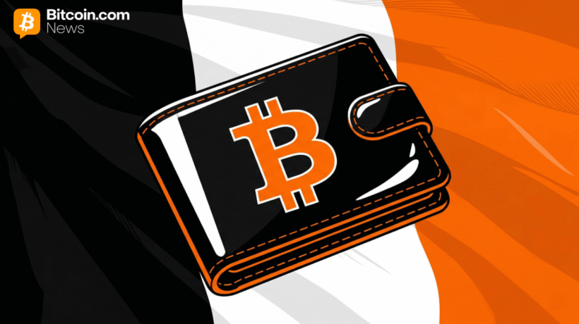 Франция обяжет самохранилища раскрывать активы