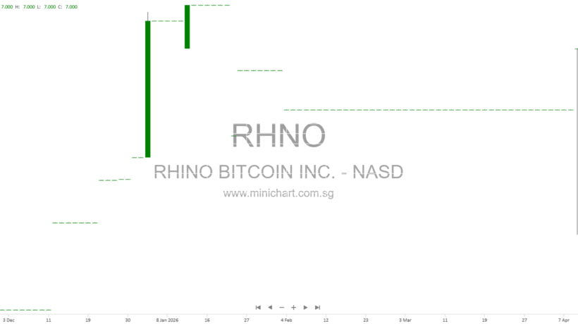 Rhino Digital: риски банкротства, долги и биткоины в отчётах