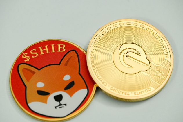 Shiba Inu демонстрирует рост активности на фоне ценовых трудностей