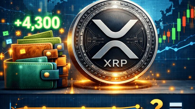 XRP привлекает 4,300 новых кошельков за 24 часа, несмотря на стабильную цену